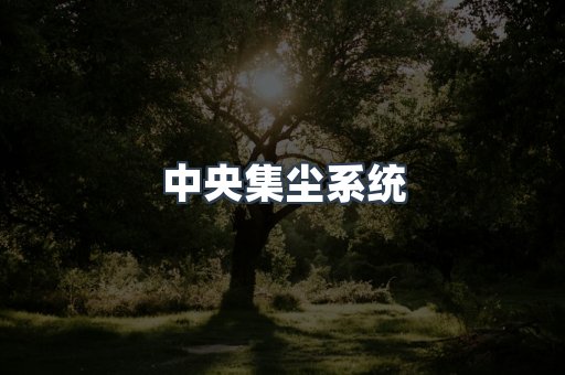中央集尘系统